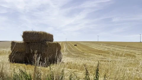 Hay bundle in the field in Germany Stock Footage 201519978