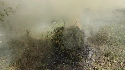 Hay burning Stock Footage 35771878