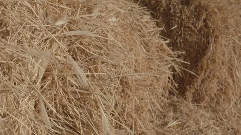 Hay close up barely moving Stock Footage 83470480