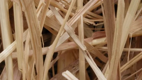 The hay is close-up. Dry grass. Dry straw. 動画素材 141001609
