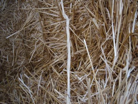 Hay close up Stock-Fotos