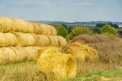 Hay collected Foto stock