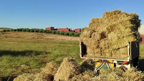Hay cuboid Bales 動画素材 165113642