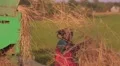 Hay cutting and grains grinding machine in India HD Footage