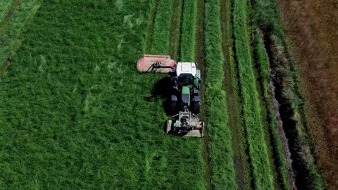 Hay cutting tractor 2K Stock Footage