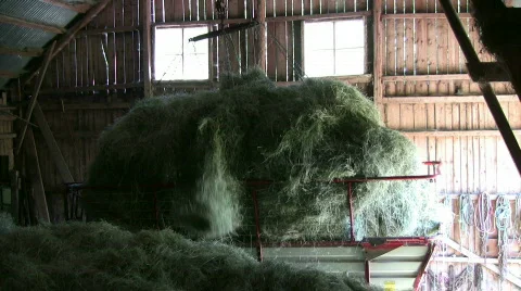 Hay elevator Stock Footage 489092
