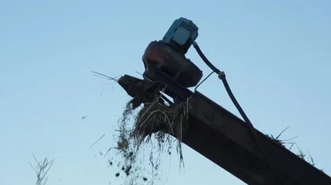 Hay Falling From Conveyor Line on Background of Sky in National Reserve Stock Footage 62471249