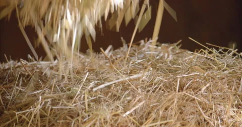 Hay falling on a haystack / Slow motion Stock Footage 131064376