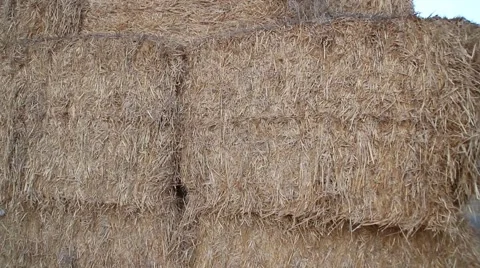 Hay in farm Vidéo 41525563