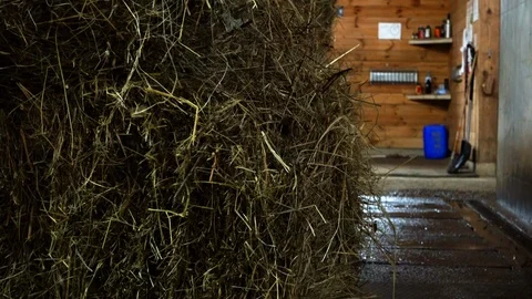 Hay in a farm stable Stock Footage 106862521