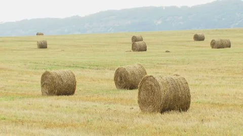 Hay field Stock Footage 5708290
