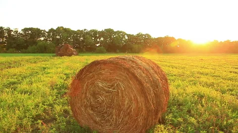 Hay field Stock Footage 53809638