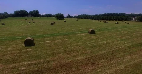 Hay field Stock Footage 76570783