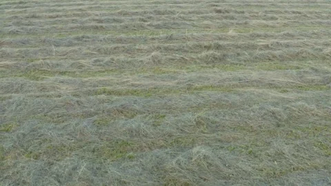 Hay Field Stock Footage 249701917