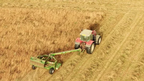 Hay field management with tractor operating mower along established cutting rows Video stock 341333759