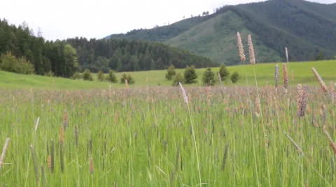 Hay field mountains slider Stock Footage 48012821