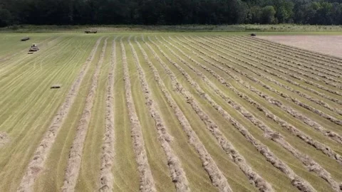 Hay field with multiple tractors working Stock Footage 248645195