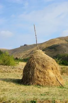 Hay in the field 스톡 사진