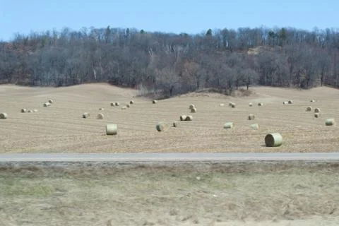 Hay in the field Stock Photos