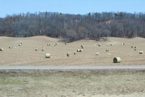 Hay in the field Stock Photos