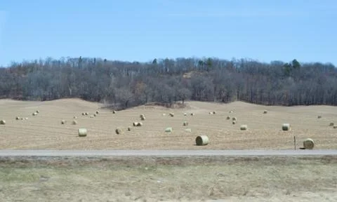 Hay in the field Stock Photos