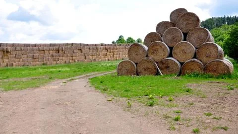 Hay on field Stock Photos