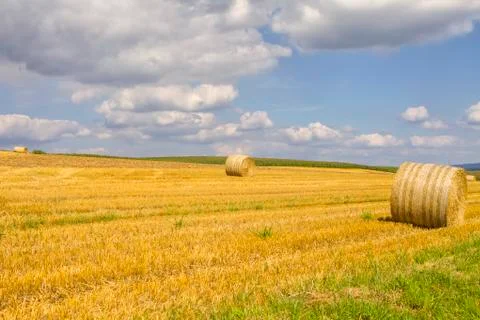 Hay in the field Stock Photos