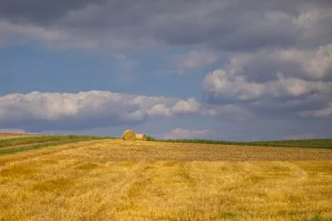 Hay in the field Stock Photos