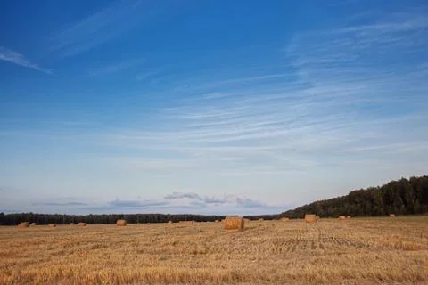 Hay in the field Stock Photos