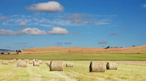 Hay field Stock Photos