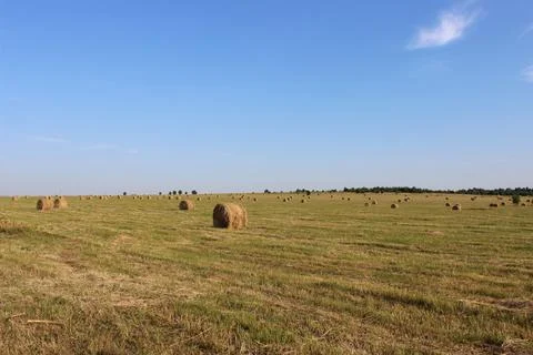 Hay field Stock Photos