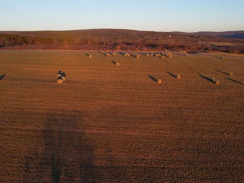 Hay field Stock Photos