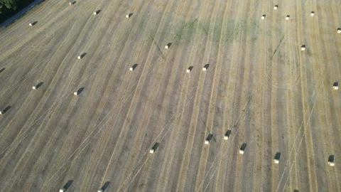 Hay field in summer Stock Footage 223766784