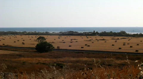 Hay field. Sunset. Before sunset. Stock Footage 760685