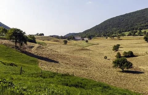 Hay fields at Lumini Photos