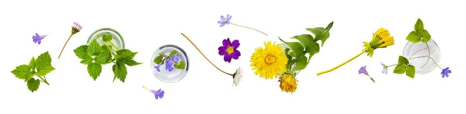 Hay flower pattern and essential oil extract from flowers and herbs background Stock Photos