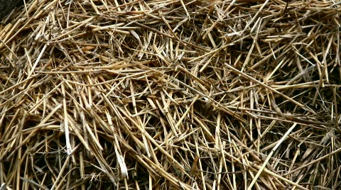 Hay Stock Footage 842949