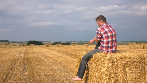 On the hay Stock Footage 71381449