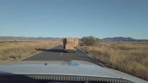 Hay Vídeos de archivo 166663011