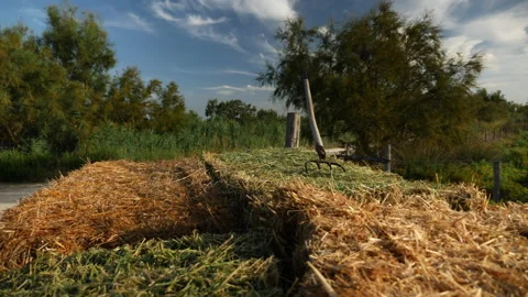 Hay grass in moving trailer with a pitchfork in it Stock Footage 196822255