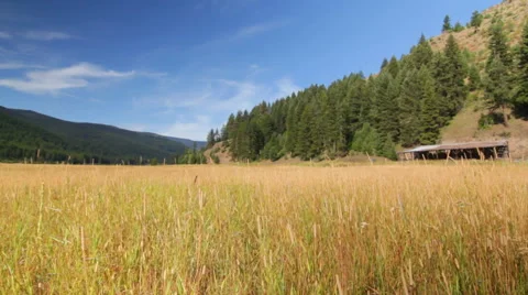 Hay grass valley mountains old dolly Stock Footage 48013175
