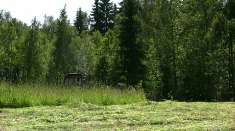 Hay harvest, cut Stock Footage