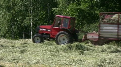 Hay harvest Stock Footage 477280