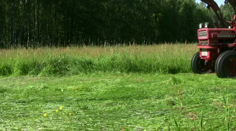 Hay harvest Stock Footage 479799