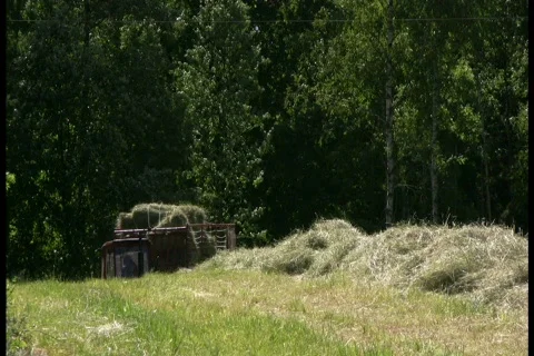 Hay harvest 스톡 동영상 479846
