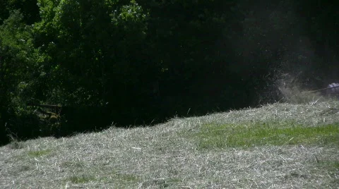Hay harvest Video stock 484814