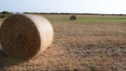 Hay harvest. Stock Footage 158729799