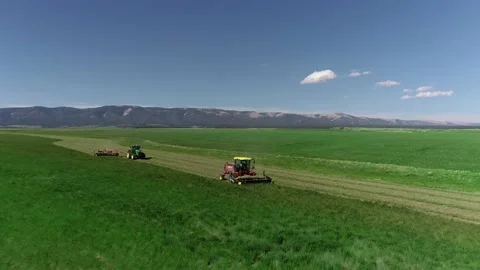 Hay harvest with two combines Video stock 194164747
