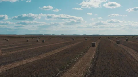 Hay harvesting Stock Footage 251808680