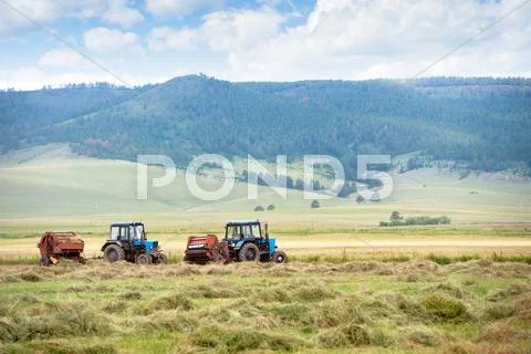 Hay harvesting Stock Photos